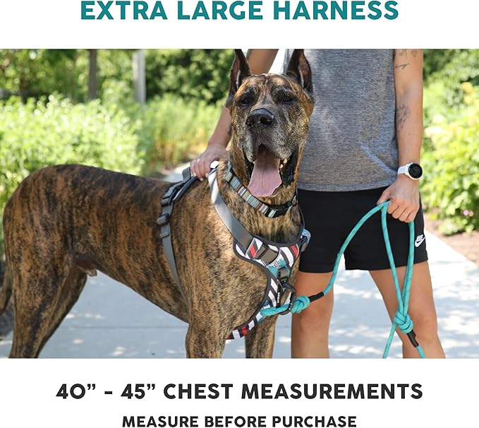 Embark Adventure Dog Harness, Reflective Trim XL Dog Harness for Extra Large Dogs No Pull - Military Grade Nylon, 2 Leash Clips &amp; Gel Lined Handle. Soft &amp; Padded Puppy Dog Harnesses for Any Breed