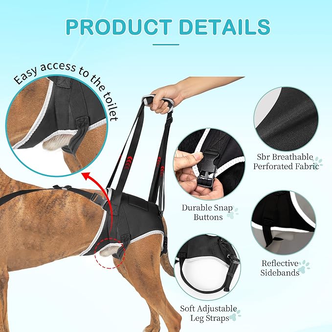 Dog Hip Support Brace – Rear Leg Lift Harness for Mobility &amp; Post-Surgery Recovery, with Chest Straps and Adjustable Elastic Buckles, Customization