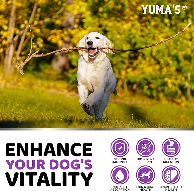Dog Multivitamin Chewable with Glucosamine - Dog Vitamins and Supplements - 170 Treats - Senior &amp; Puppy Multivitamin for Dogs - Hip &amp; Joint Support - Immune Health, Skin, Heart, Digestion, Probiotics