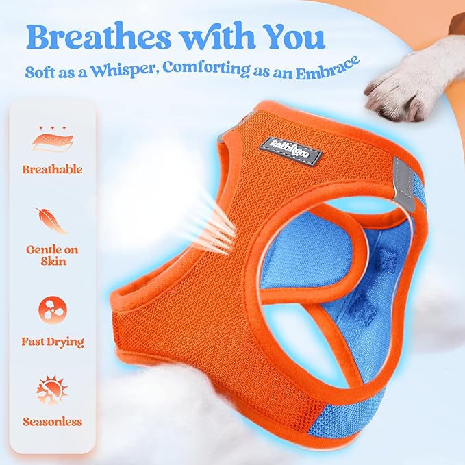 rabbitgoo Dog Harness Medium Sized and Leash Set, Step in Soft Light Puppy Vest, Breathable Mesh Pet Harness, Reflective for Safe Easy Walking, Blue &amp; Orange XXL