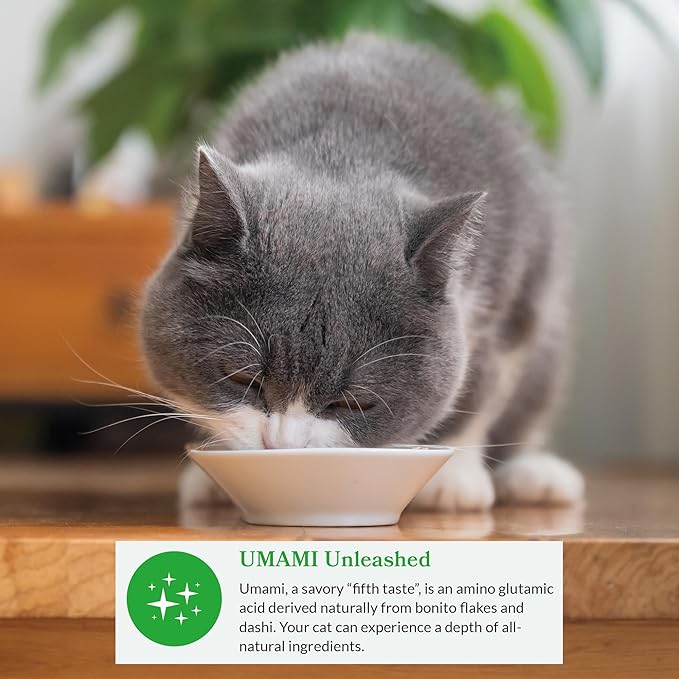 INABA Dashi Delights for Cats, 2.5 Ounce Cup, 6 Cups Total, Chicken with Tuna &amp; Salmon Recipe