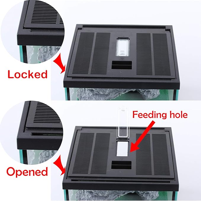 crapelles Glass Lizard Tank, Spider Box Kit, 7.8x7.8x5.9&