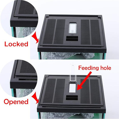 crapelles Glass Lizard Tank, Spider Box Kit, 7.8x7.8x5.9&