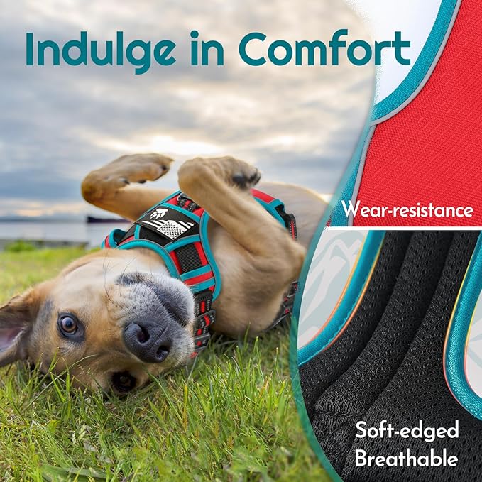 Eagloo Dog Harness for Large Dogs, Easy Wearing with 3 Buckles, Adjustable No Pull Pet Harness with 2 Rings for Walking, No Chock Reflective Soft Padded Vest with Control Handle, Red &amp; Teal, L