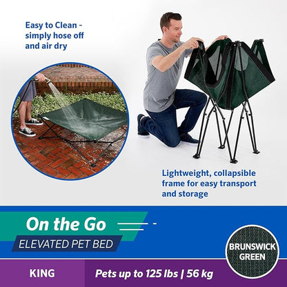 Coolaroo On-The-Go Elevated Dog Bed - Foldable Pop-Up Travel Dog Bed with Breathable, Moisture-Resistant Fabric, Carry Bag Included, Lightweight &amp; Portable, Brunswick Green, Extra Large