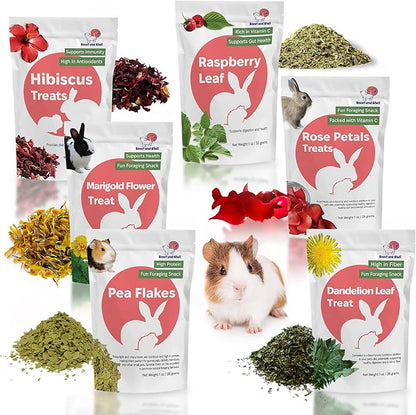 Snout and Shell Small Pet Mega Pack – 6 Natural Treats: Pea Flakes, Dandelion, Raspberry Leaf, Marigold, Rose Petals &amp; Hibiscus – For Rabbits, Guinea Pigs, Chinchillas &amp; More – Foraging &amp; Health Boost