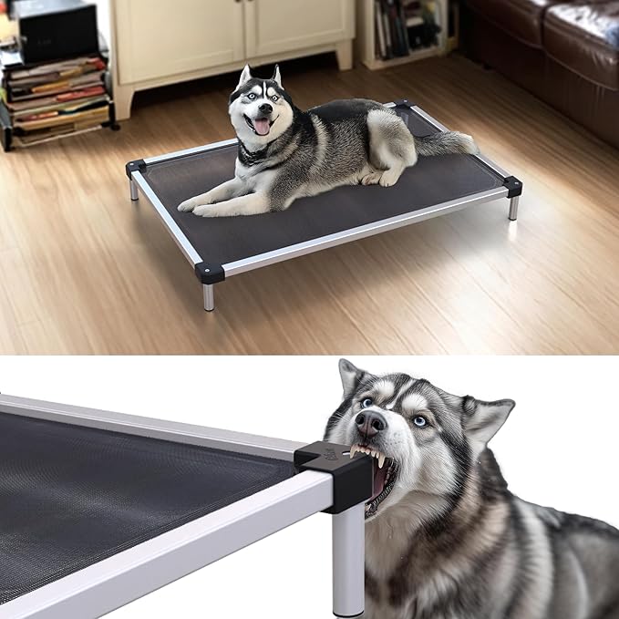 FXW TitanNest Chew-Proof Elevated Dog Bed, Raised Cot for Indoor/Outdoor/Camping Use, Durable &amp; Waterproof Cooling Pet Bed for Medium Dogs, 42.0" L x 27.0" W x 5.0" H, Black