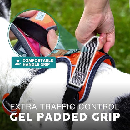 Embark Adventure Dog Harness, Reflective Trim No Pull Dog Harnesses for Small Sized Dogs - Military Grade Nylon, Front Clip with Gel Lined Handle. Soft &amp; Padded Puppy