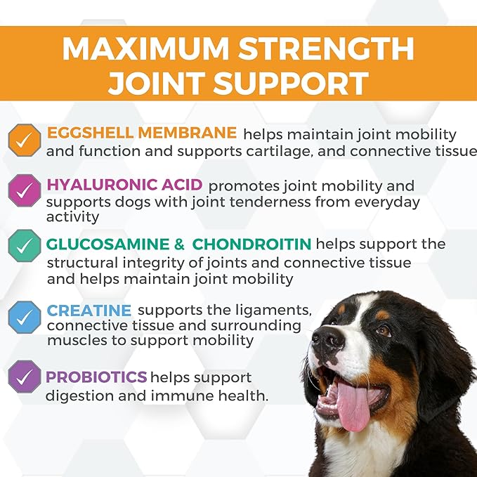 Nootie ProgilityMAX Hip &amp; Joint Supplement for Large Dogs, Maximum Strength Dog Joint Support with Eggshell Membrane, Glucosamine and Chondroitin, 60 Count