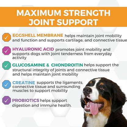 Nootie ProgilityMAX Hip &amp; Joint Supplement for Large Dogs, Maximum Strength Dog Joint Support with Eggshell Membrane, Glucosamine and Chondroitin, 60 Count