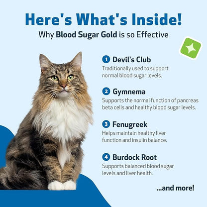 Pet Wellbeing - Blood Sugar Gold for Cats - Natural Support for Healthy Blood Sugar Levels in Diabetic Cats - Insulin Stabilization &amp; Normal Pancreatic Function - 2 oz (59 ml)