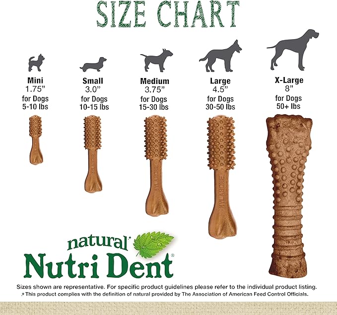Nylabone Nutri Dent Dog Dental Chews - Natural Dog Teeth Cleaning &amp; Breath Freshener - Dental Treats for Dogs - Filet Mignon Flavor, Mini (160 Count)