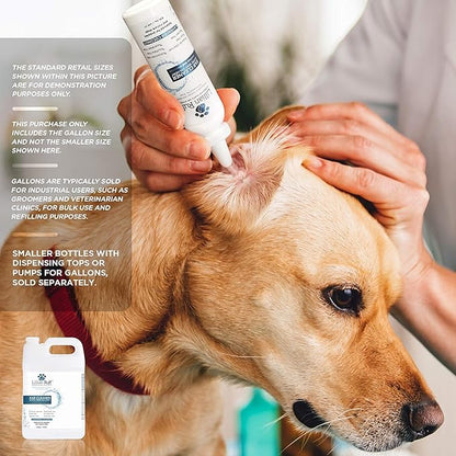 Lillian Ruff Ear Cleaner &amp; Otic Rinse for Sensitive Ears: Alcohol Free Dog Ear Wash with Alo+H6+F6:K28F6:N29