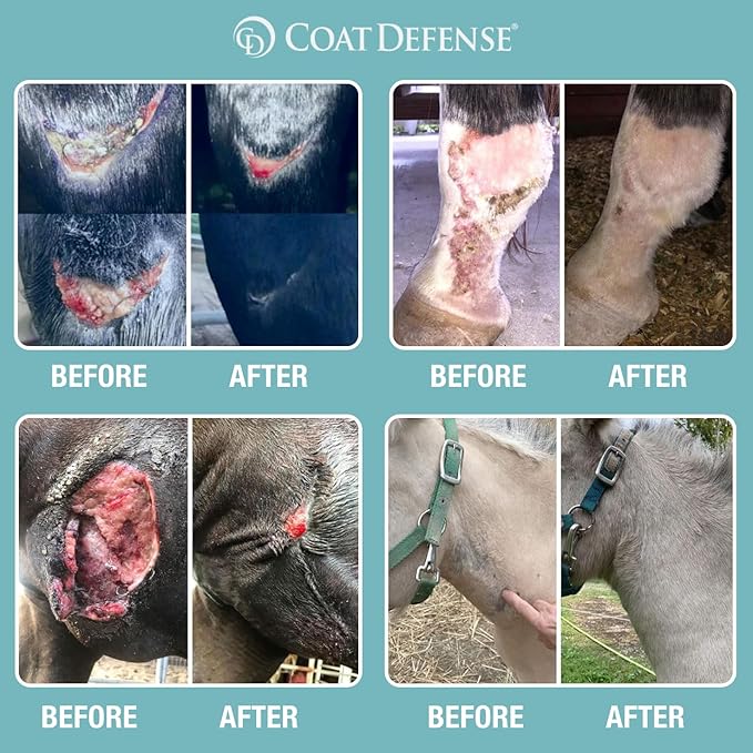 COAT DEFENSE Trouble Spot Drying Paste for Horses - Natural Equine Wound Care That Provides Safe &amp; Effective Relief from Scratches, Sweet Itch, Summer Sores, Proud Flesh, Mud Fever, Girth Rot (10 Oz)