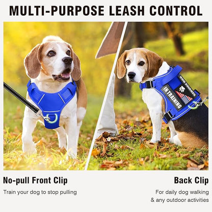 WINSEE Service Dog in Training Harness with 5 PCS Patches, Reflective Tactical Dog Vest Harness, Adjustable Soft Oxford Pet Harness with Easy Control Handle, Hook &amp; Loop Panels for Walking Hiking