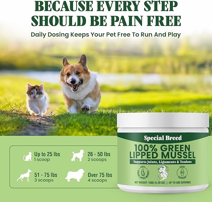 Green Lipped Mussel Powder for Dogs &amp; Cats - 100% New Zealand Green Lipped Mussels - Natural Hip &amp; Joint Supplement for Joints, Tendons, Ligaments, Muscles - 150 Grams - Up to 500 Servings