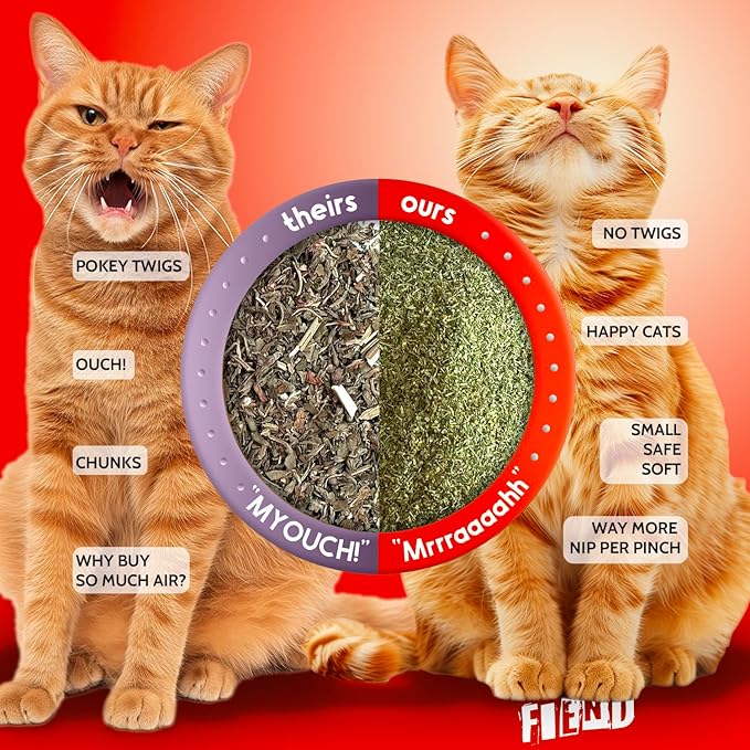 Fiend Catnip Safety-Cut 100% Pure Potent Fine Cat Nip for Cats &amp; Kittens – Ultra Potent, North American – 1 Cup (34.5g) Canister – Go Ahead, Create a Monster!