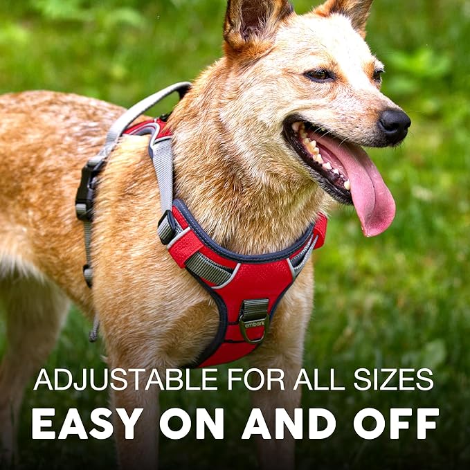 Embark Adventure Dog Harness, Reflective Trim No Pull Dog Harnesses for Small Sized Dogs - Military Grade Nylon, Front Clip with Gel Lined Handle. Soft &amp; Padded Puppy