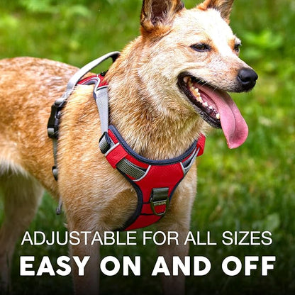 Embark Adventure Dog Harness, Reflective Trim No Pull Dog Harnesses for Small Sized Dogs - Military Grade Nylon, Front Clip with Gel Lined Handle. Soft &amp; Padded Puppy