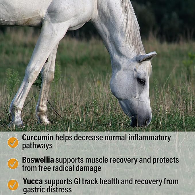 Absorbine Bute-Less Performance Advanced Formula Horse Supplement Pellets, Supports Healthy Inflammatory Response &amp; GI Tract, 3.75lb Tub / 30 Day Supply