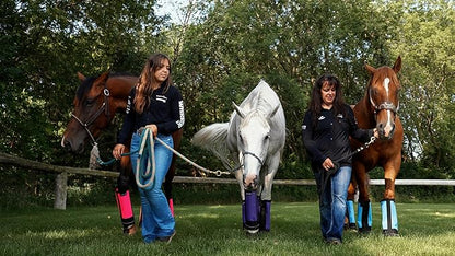 Warrior Fly Boots for Horses - Breathable Mesh Horse Boots for Fly Protection &amp; Leg Comfort - Set of 4 (Knight Warrior, Gray)