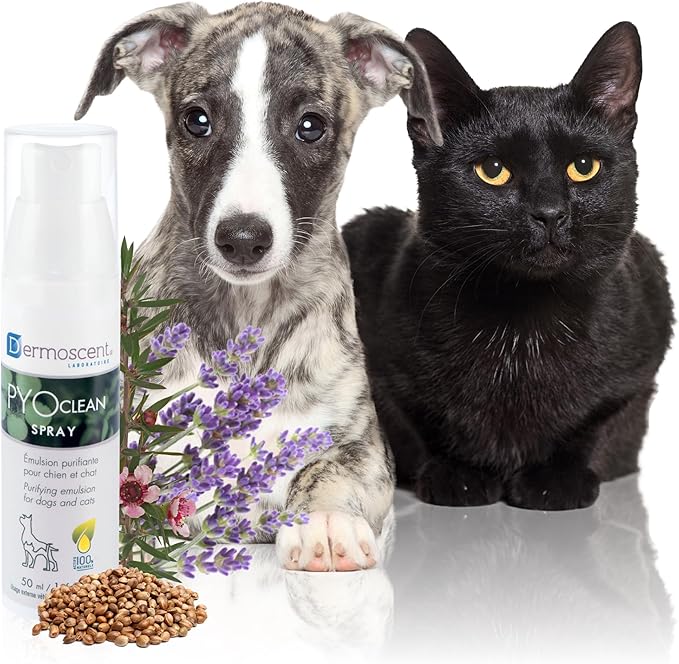 Dermoscent PYOclean® Spray for Dogs &amp; Cats 50 ml (1.66 fl. oz.)