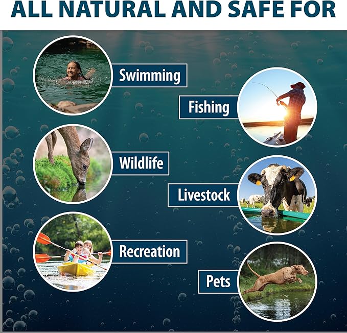 Airmax Black DyeMond Pond Dye 4X Concentrate for Outdoor Ponds &amp; Lakes, Natural Pond Colorant &amp; Beauty Enhancer, Block Ultraviolet Rays, Fish, Bird &amp; Livestock Safe, Easy Liquid Application, 1 Quart