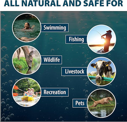Airmax Black DyeMond Pond Dye 4X Concentrate for Outdoor Ponds &amp; Lakes, Natural Pond Colorant &amp; Beauty Enhancer, Block Ultraviolet Rays, Fish, Bird &amp; Livestock Safe, Easy Liquid Application, 1 Quart