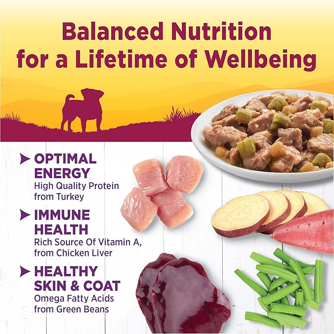 Wellness Petite Entrees Mini Fillets Natural Wet Small Breed Dog Food, Tender Turkey, Green Beans &amp; White Sweet Potato, 3-Ounce Cup (Pack of 24)