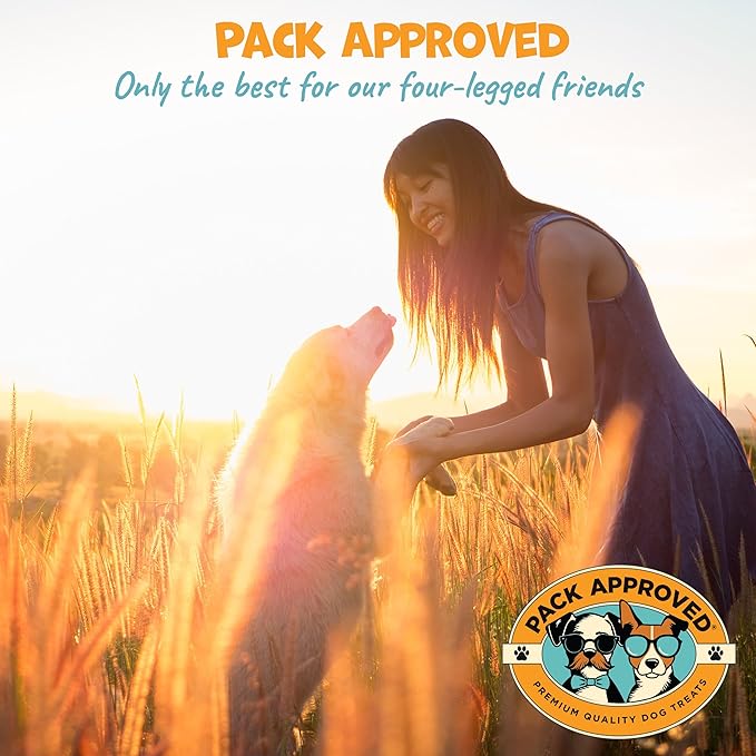 Cat &amp; Dog Ear Cleaning Solution - Helps Remove Wax, Debris, and Dirt - Non-Stinging, Non-Burning Daily Use Formula - Cat &amp; Dog Ear Wash for Itchy Ears - Cucumber Melon Scent (8oz)