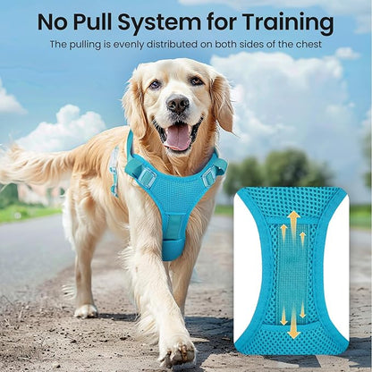 Light Up Dog Harness,Reflective Pet Harness Rechargeable,Led Dog Vest Harness for Night Walking,Adjustable Dog Safety Vest for Small Medium Large Dogs-No Pull,Blue,M