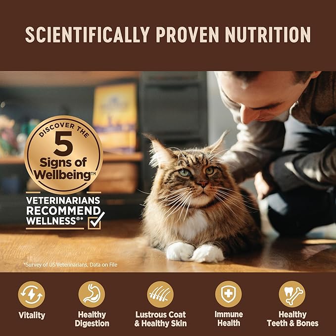 Wellness CORE+ Indoor Pate Adult Wet Cat Food, Natural, Protein-Rich, Grain Free, 5.5 Ounce, 24 Pack (Chicken &amp; Chicken Liver)