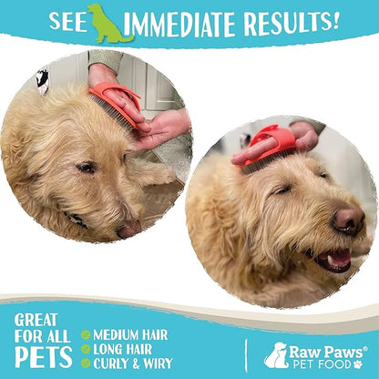 Raw Paws Grooming Brush, 1 ct - Hand-Held Rubber Tipped Pin Brush for Dogs &amp; Cats - Deshedding Dogs with Short Hair &amp; Long Hair - Dog Grooming