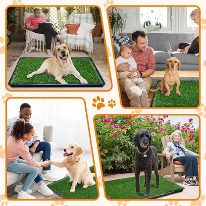 LOOBANI 41x26.8in Large Dog Grass Potty Tray - Dog Litter Box with 2-Pack Replacement Artificial Grass Puppy Training Pads - Potty Tray for Balcony Apartment Indoor Outdoor Use