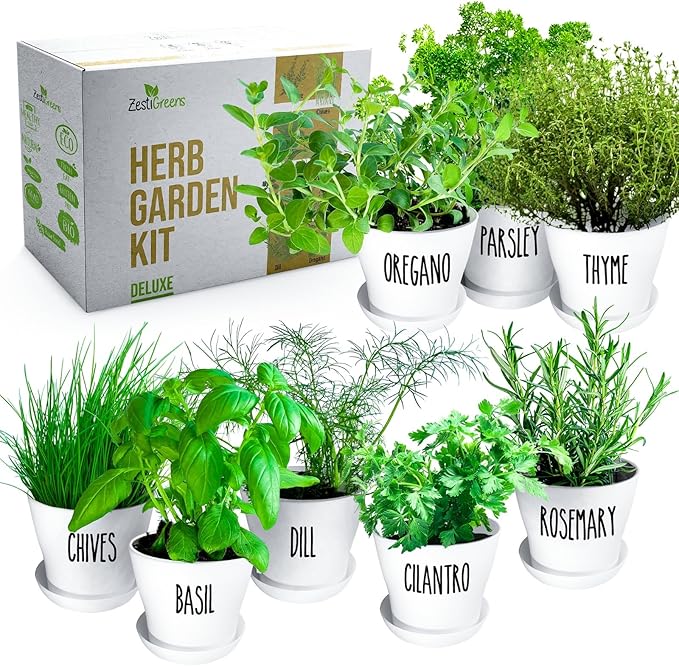 Deluxe Indoor &amp; Outdoor Herb Garden Kit – 8 or The Most Popular Culinary Herbs with Pots &amp; Soil for Windowsill or Patio Growing