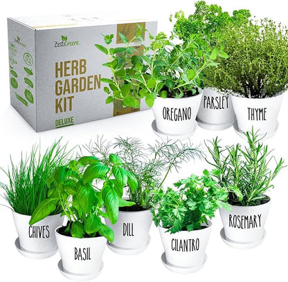 Deluxe Indoor &amp; Outdoor Herb Garden Kit – 8 or The Most Popular Culinary Herbs with Pots &amp; Soil for Windowsill or Patio Growing