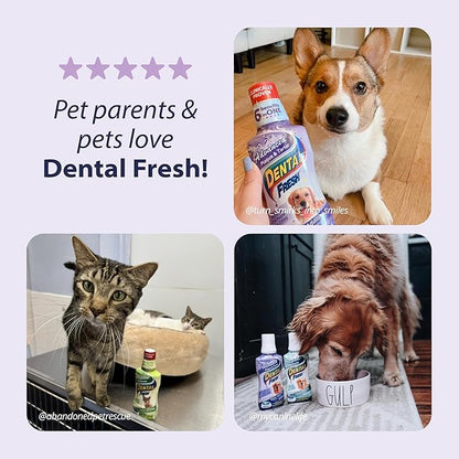Dental Fresh Advanced Plaque and Tartar Water Additive, 17oz – Dog Teeth Cleaning Formula to Freshen Breath and Improve Cat &amp; Dog Dental Care