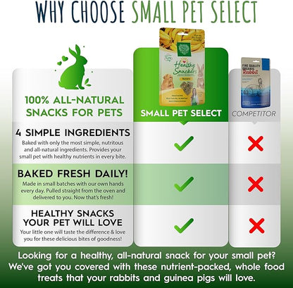 Small Pet Select - Healthy Snackers - Banana (Pack of 2)