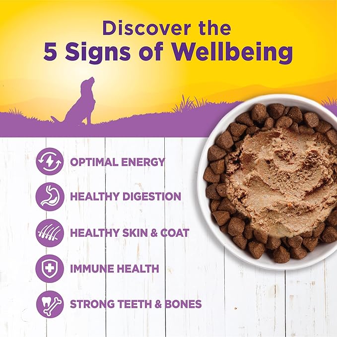 Wellness Complete Health Natural Wet Canned Dog Food, Age Advantage Chicken &amp; Sweet Potato, 12.5-Ounce Can (Pack of 12)