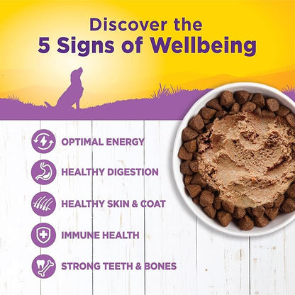 Wellness Complete Health Natural Wet Canned Dog Food, Age Advantage Chicken &amp; Sweet Potato, 12.5-Ounce Can (Pack of 12)