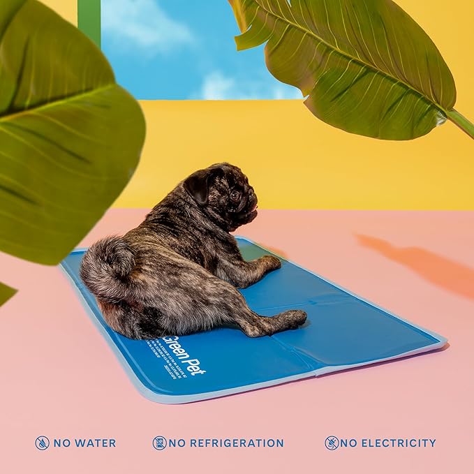 The Green Pet Shop Cool Pet Pad - Extra Small, Blue - Self-Cooling, Pressure Activated Mat for Dogs &amp; Cats from 0-8 lbs - Non-Toxic Gel, No Water Needed