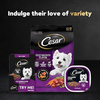 Cesar Filets in Gravy Wet Dog Food Filet Mignon Flavor, 1.76 oz. Mini-Pouch (20 Count, Pack of 1)
