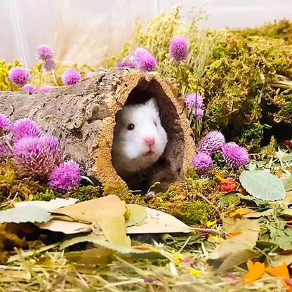 Natural Ear of Grain Flower&amp;Herb Bedding Mate Habitat Decor, Adding Fun Hamster Accessories for Hamsters Gerbils Lemming