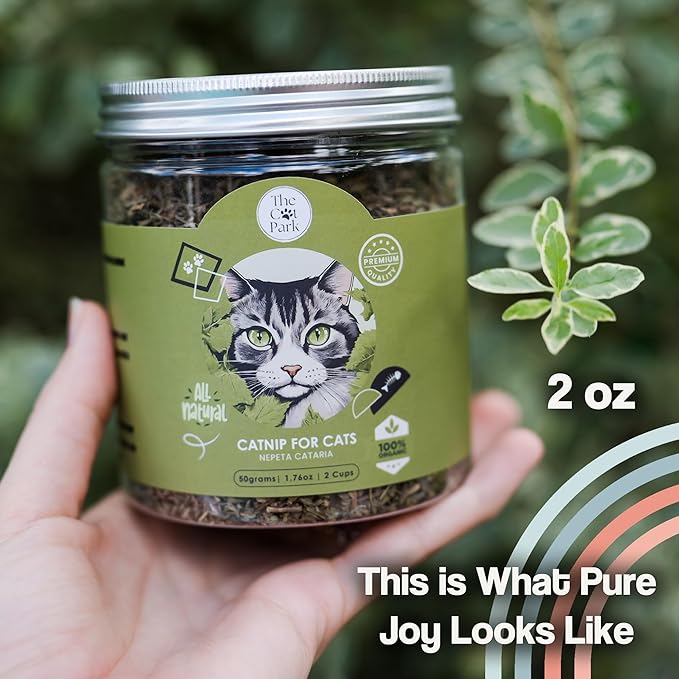 Organic Catnip for Cats &amp; Kittens – 1.76 oz Premium Natural Catnip, High Potency Blend for Playtime, Training, and Stress Relief, 2 Cups of Dried Cat Nip Leaves