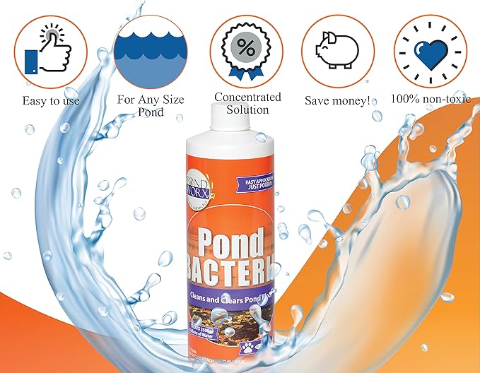Pondworx Pond Bacteria - Concentrated &amp; Formulated for Water Features - Safe for Koi - 16 Ounces &amp; Treats up to 2,500 gallons of Water
