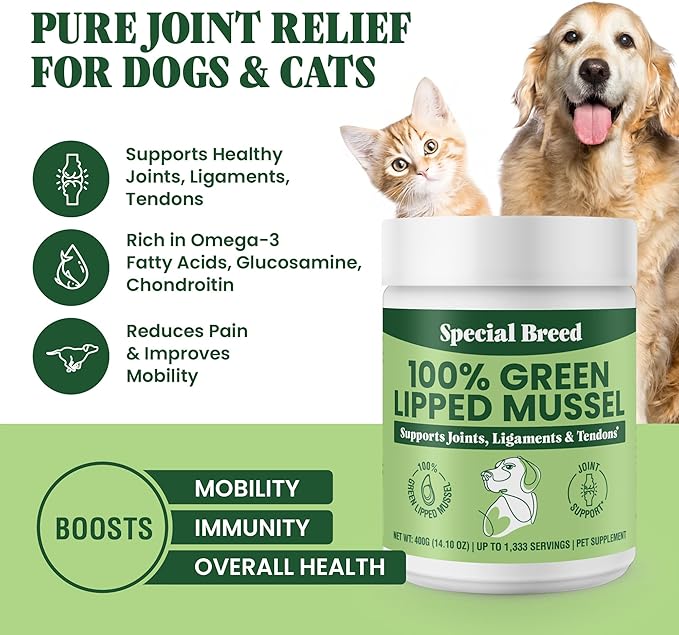 Special Breed Green Lipped Mussel Powder for Dogs &amp; Cats - 100% New Zealand Green Lipped Mussels - Natural Hip &amp; Joint Supplement for Joints, Tendons, Ligaments, Muscles - 400 Grams - 1,333 Servings