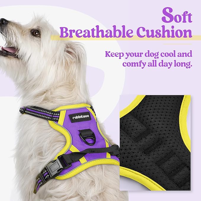 rabbitgoo Dog Harness No Pull with 2 Leash Clips, Adjustable Soft Padded, Reflective Oxford No Choke Pet Vest with Easy Control Handle for Puppy, Purple &amp; Yellow, XS