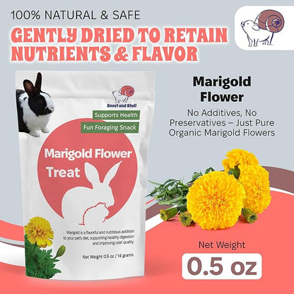 Snout and Shell Small Animal Treats – Pea Flakes, Dandelion Leaf (1oz), Marigold Flowers (0.5oz) – Natural Foraging Snacks for Rabbits, Guinea Pigs, Chinchillas, Hamsters &amp; More