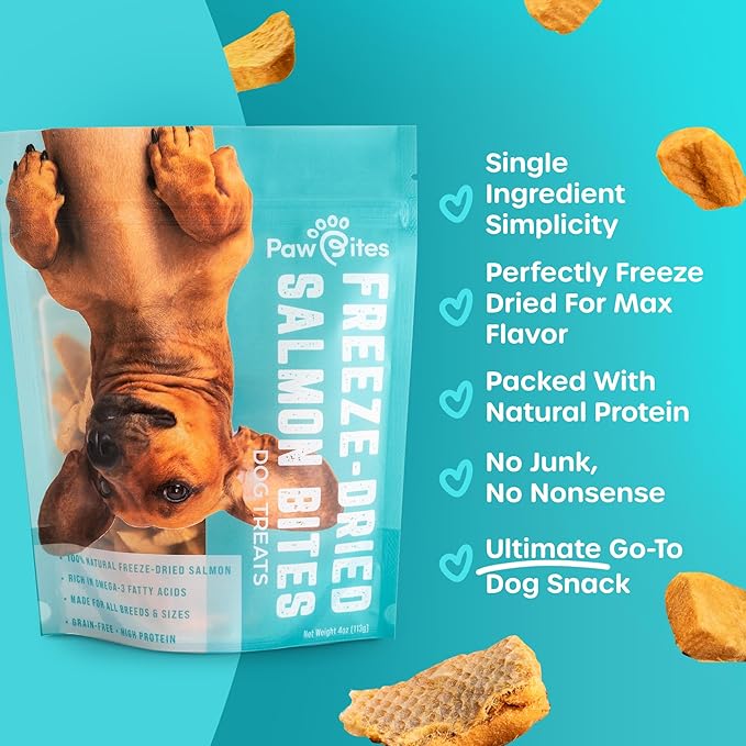 Freeze Dried Dog Treats - Wild Caught Salmon - Dog Food Dry Snacks - with Protein &amp; Omega 3s - for All Breeds &amp; Sizes - No Artificial Flavors &amp; Dyes, No Preservatives - 1 Pouch, 4 oz