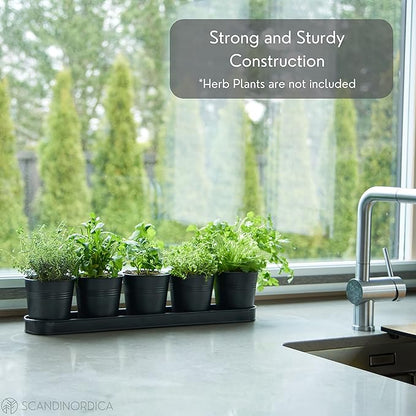 SCANDINORDICA Black Herb Planter – 5 Pots with Drainage Holes and Tray, Windowsill Planter, Herb Pots for Indoor Outdoor Plants | Kitchen &amp; Garden Decor